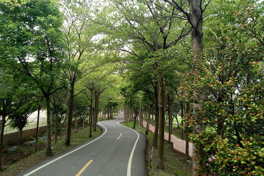 Tanya Shen Green Bikeway image