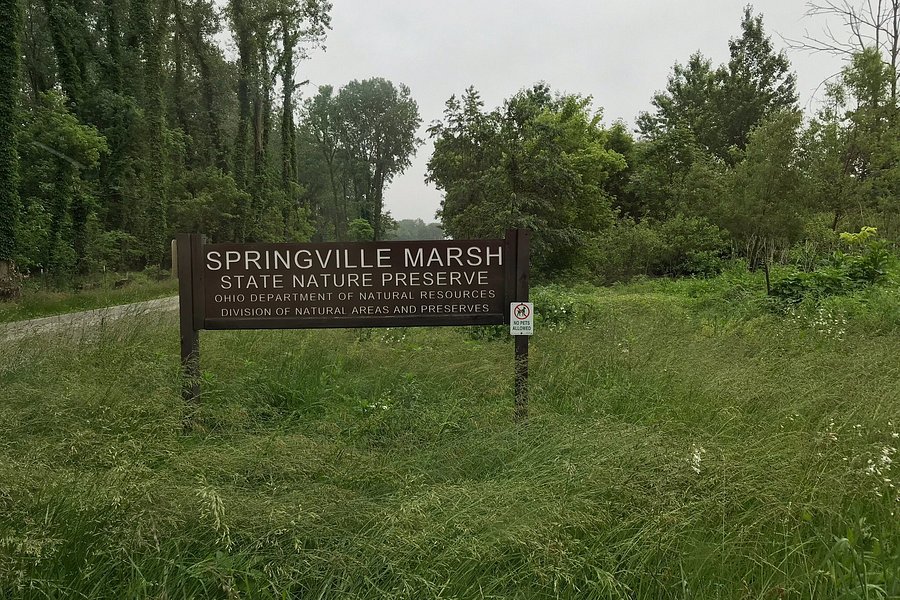 Springville Marsh State Nature Preserve image