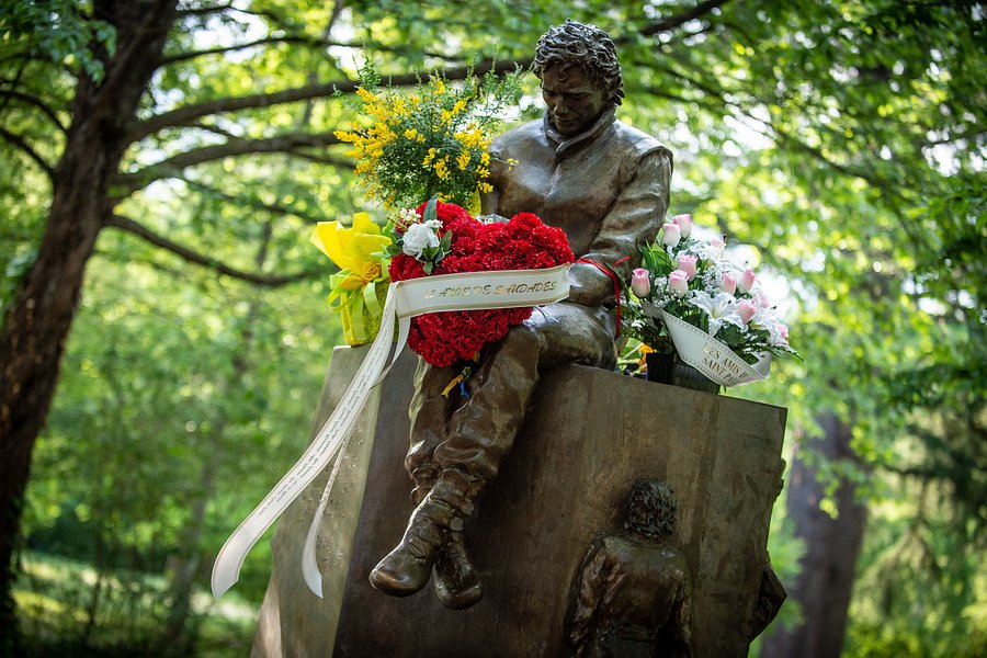 Monumento ad Ayrton Senna image