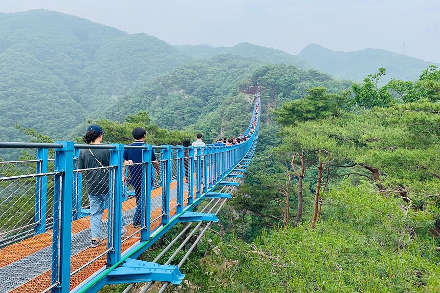 Wonju Sogeumsan Mountain Suspension Bridge image