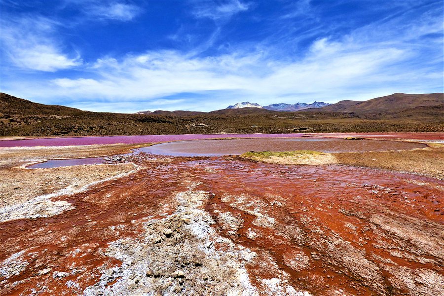 Laguna Roja image