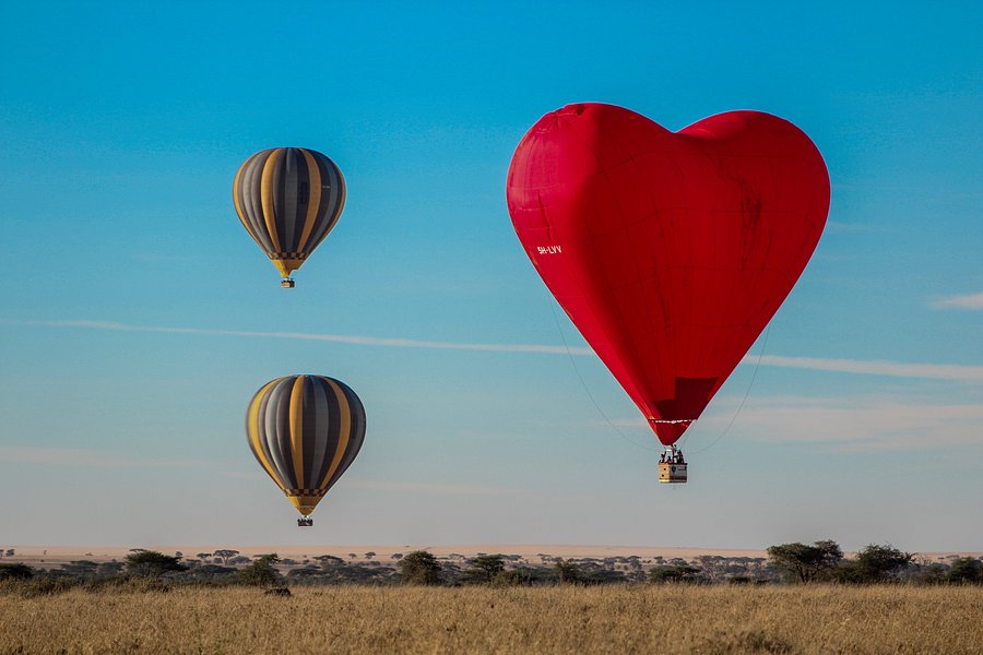 Miracle Experience Balloon Safaris image