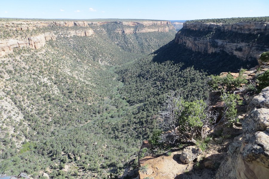 Soda Canyon Overlook Trail image