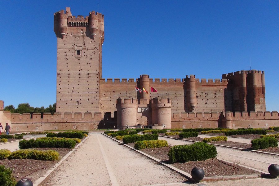 Castillo de la Mota image