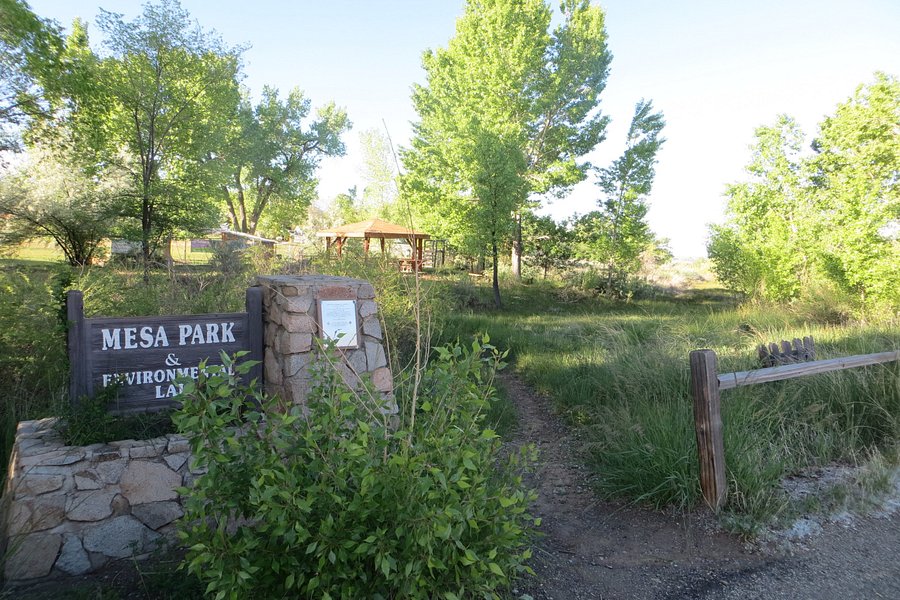 Mesa Park and Environmental Lab image