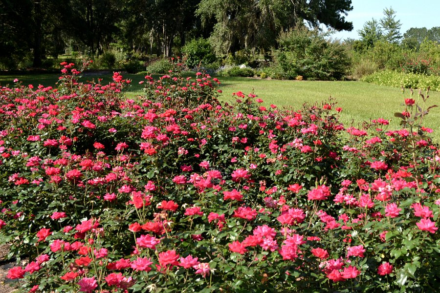 Hearthstone Gardens image