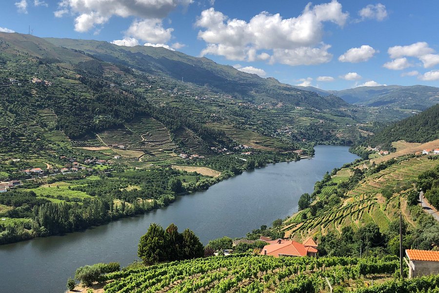 The Douro Valley image