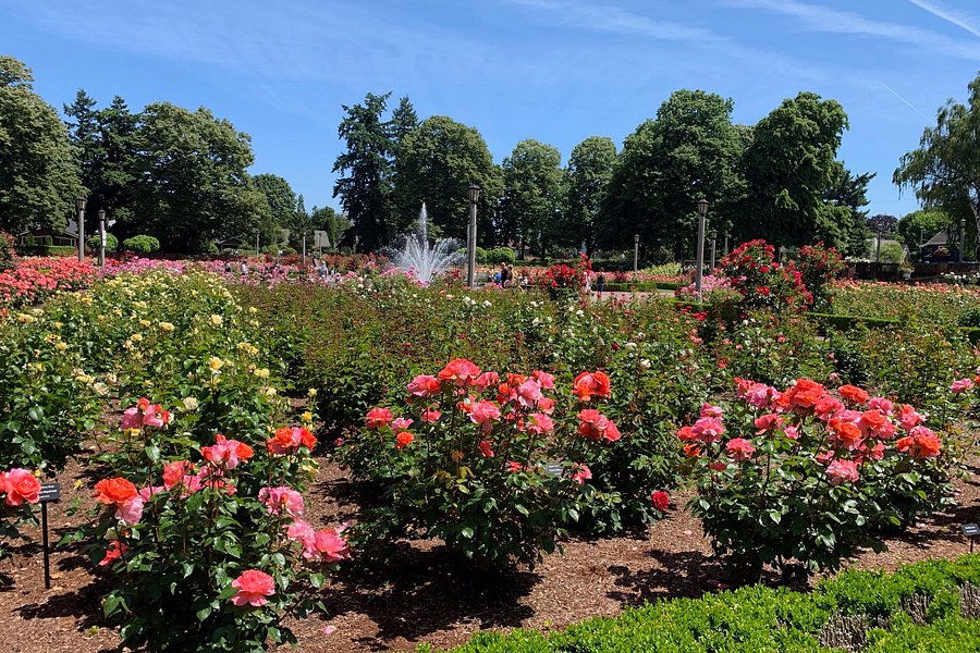 Peninsula Park and Rose Gardens image
