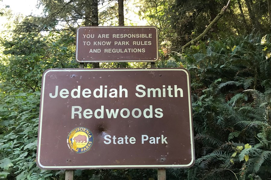 Jedediah Smith Redwoods State Park Visitor Center image