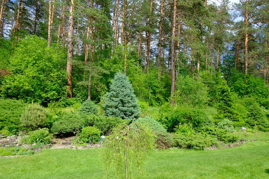 Gorno-Altaisk Botanical Garden image