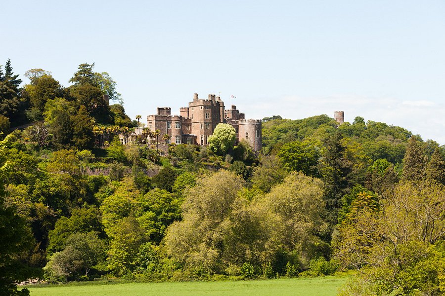 Dunster Castle image