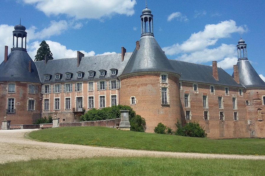 Chateau de Saint-Fargeau image
