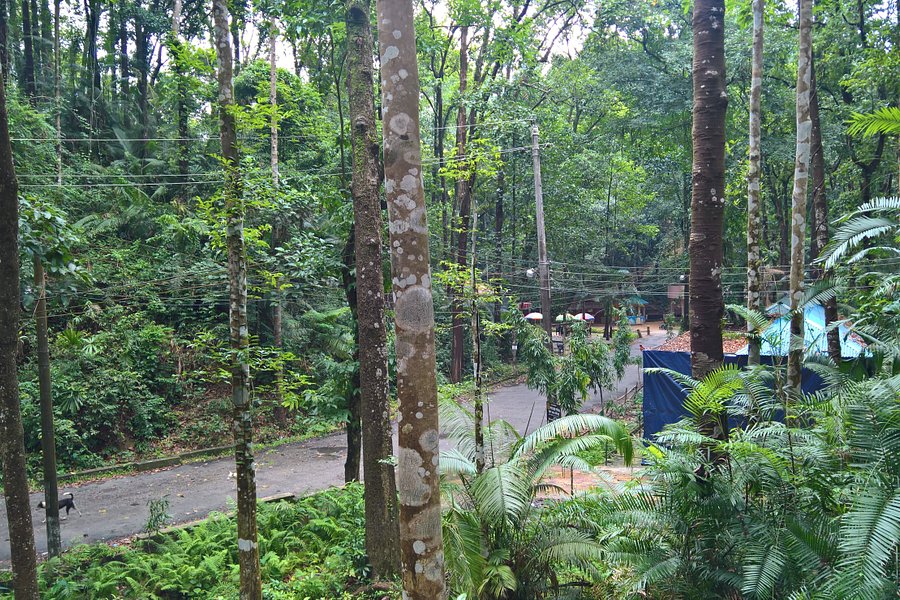 Tilagor Eco Park image