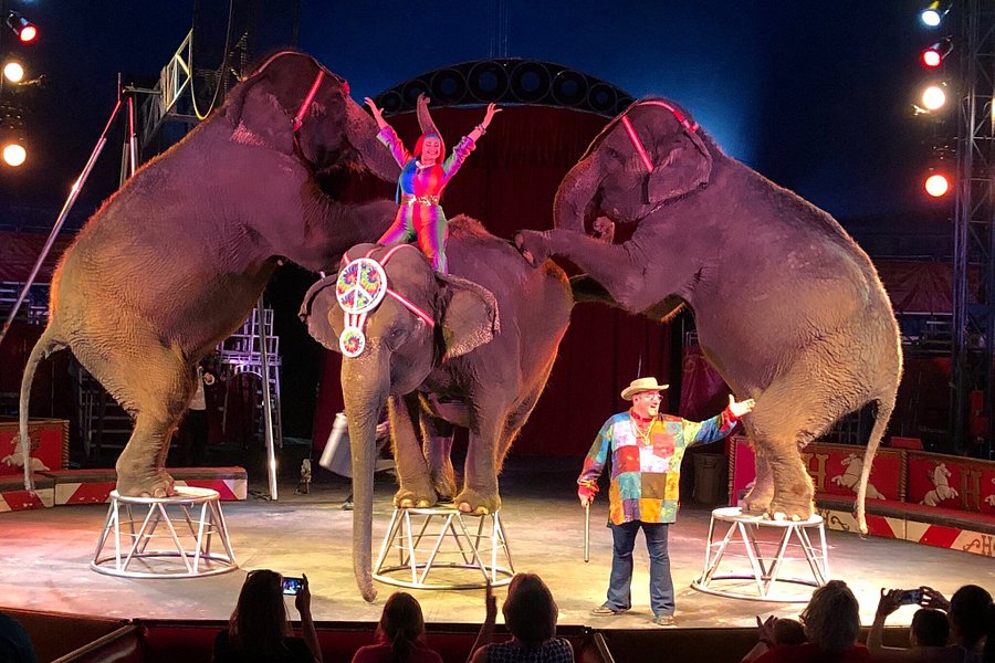 Circus World image