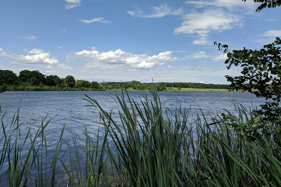 Shabbona Lake State Park image