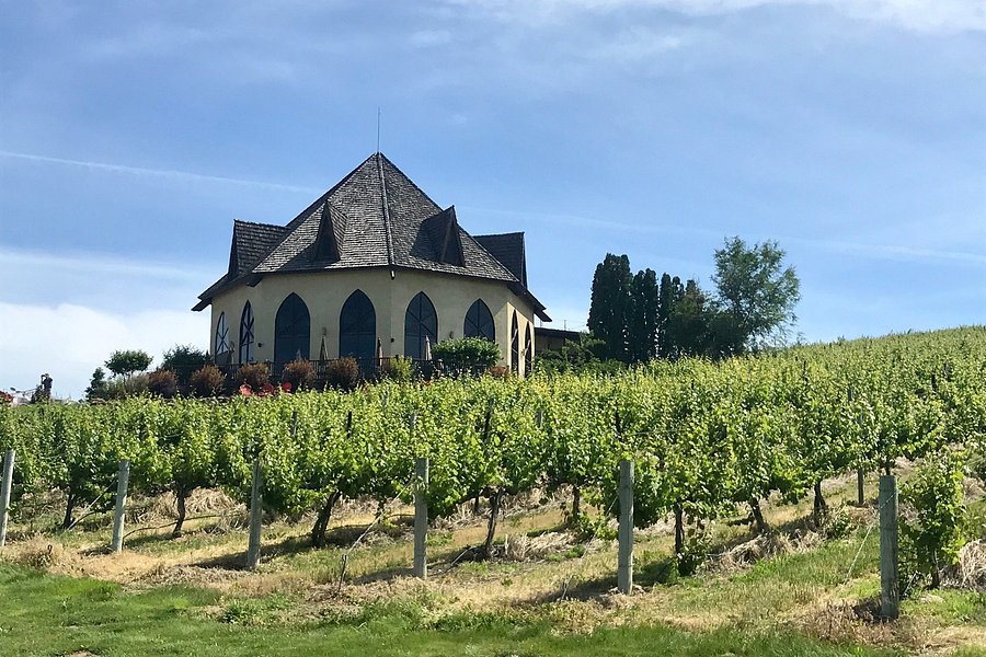 Ste. Chapelle Winery image