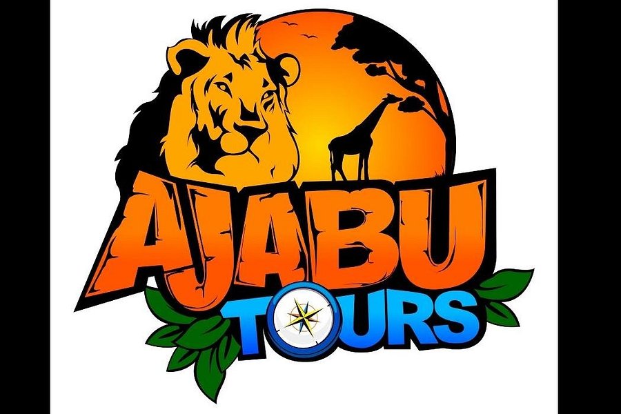 Ajabu Tours image