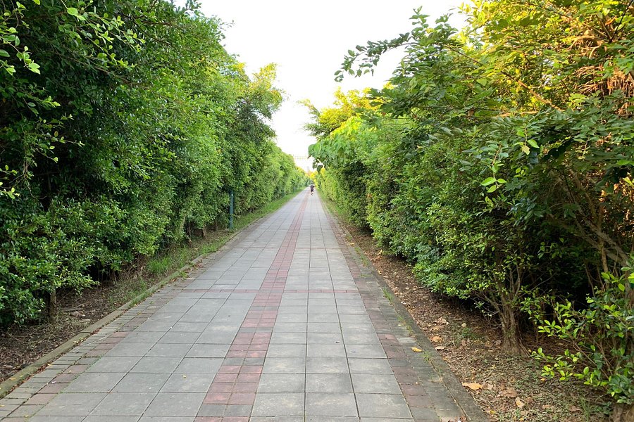 17 Km Bicycle Path image