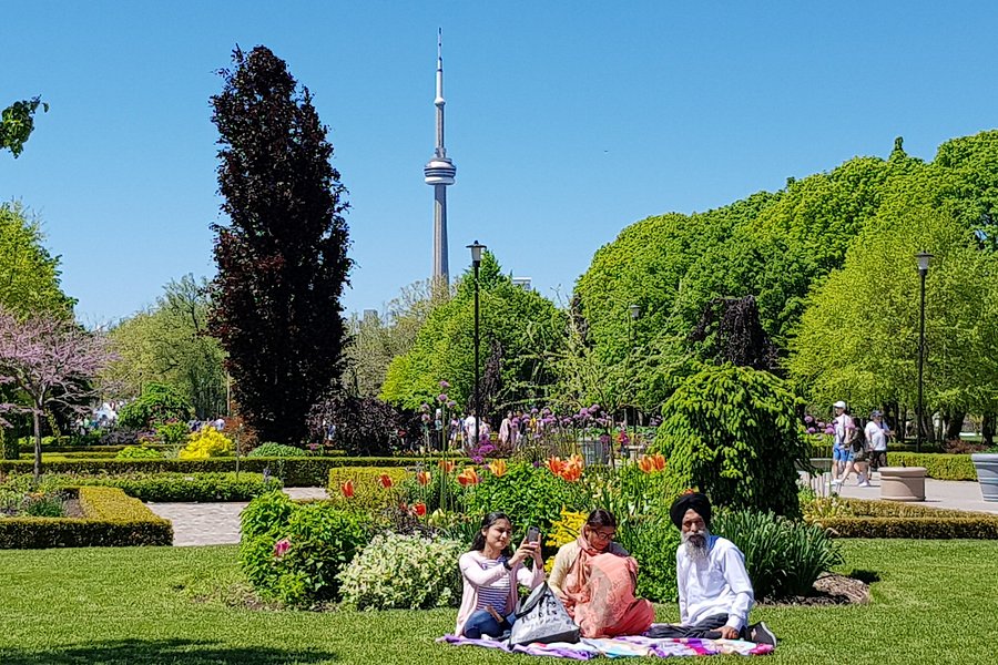 Toronto Island Park image