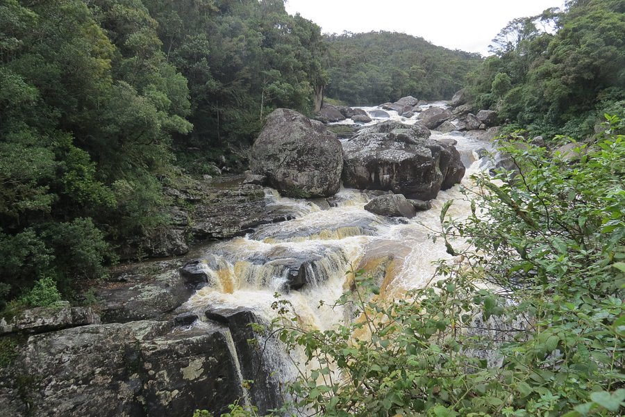 Ranomafana National Park image