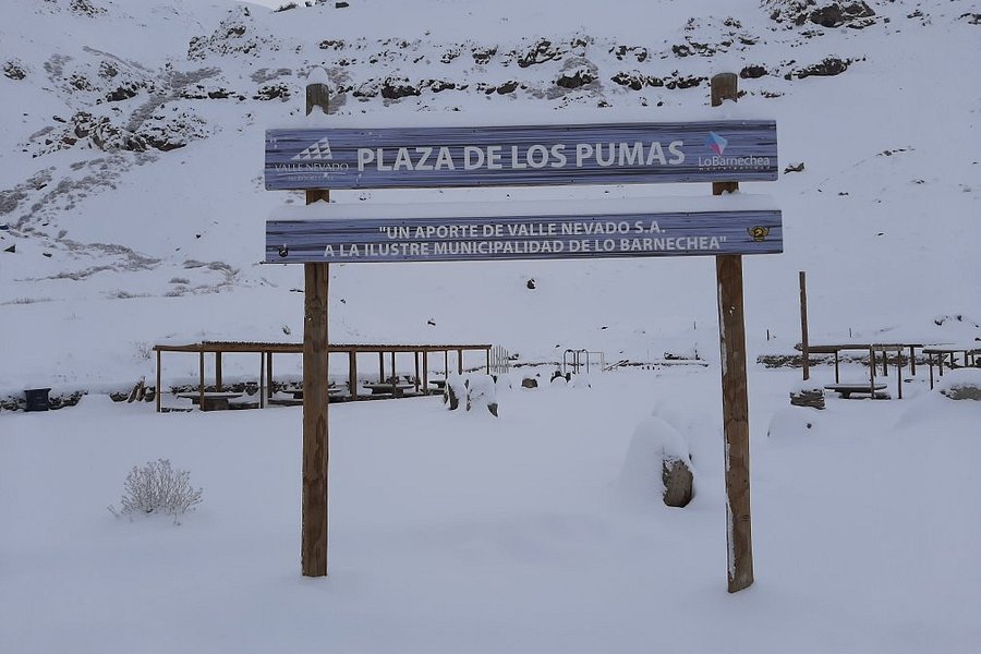 Plaza de los Pumas image