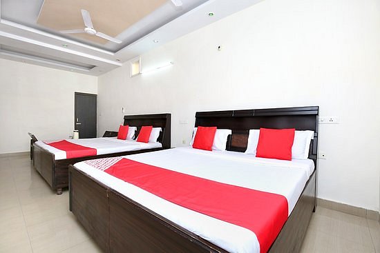 Things To Do in Hotel Sparking Chandigarh, Restaurants in Hotel Sparking Chandigarh