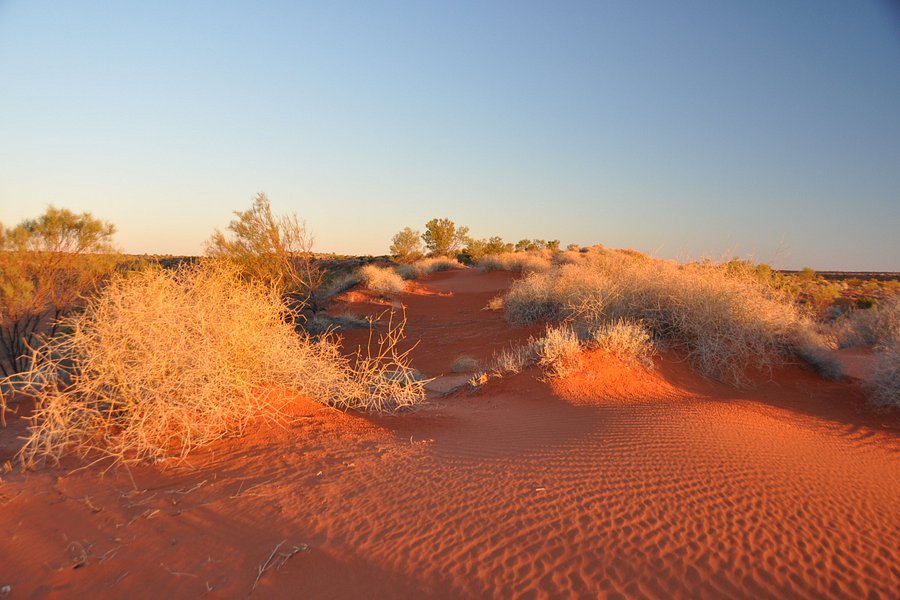Simpson Desert image