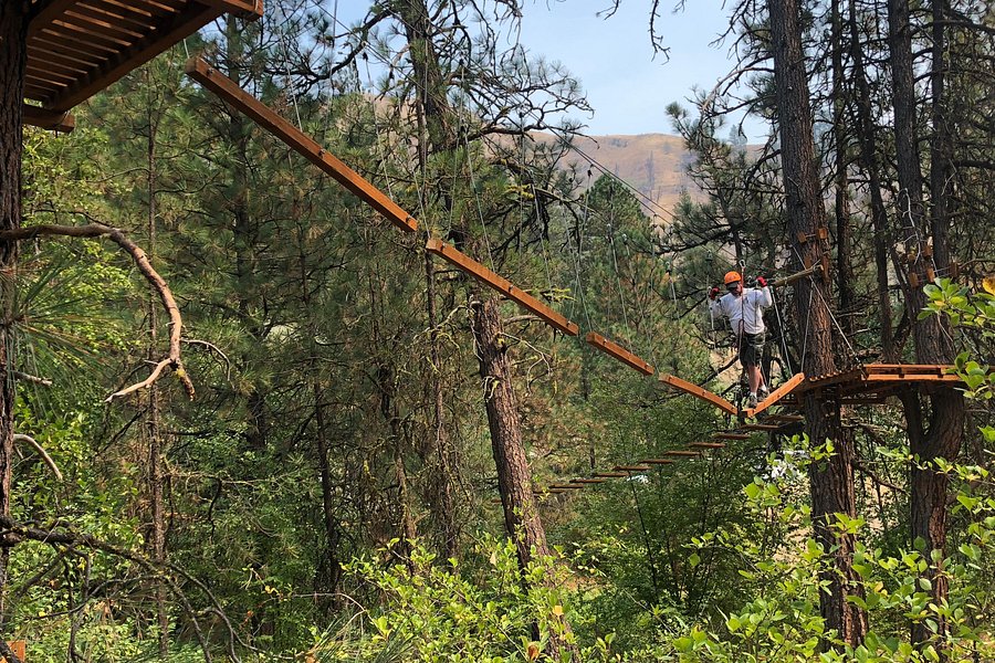 Cascade Ropes Challenge and Ziplines image