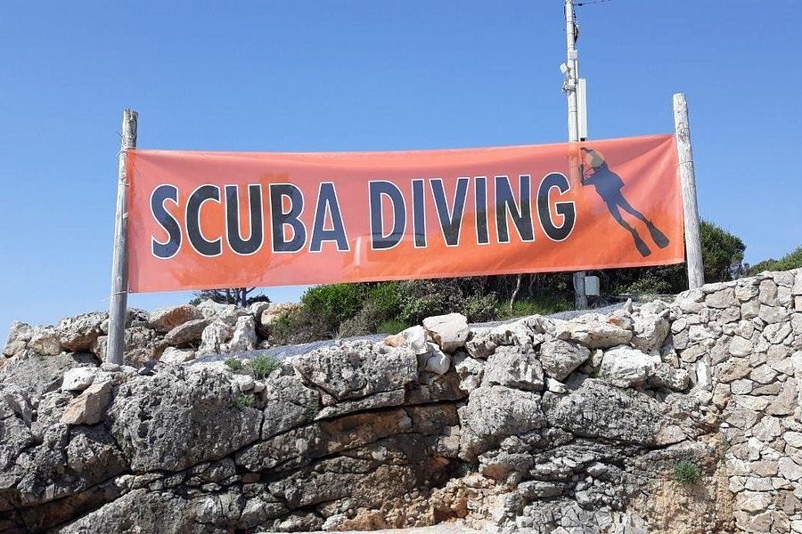 Diving Zone image