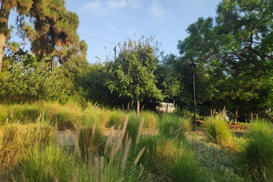 Givatayim Observatory and Garden image