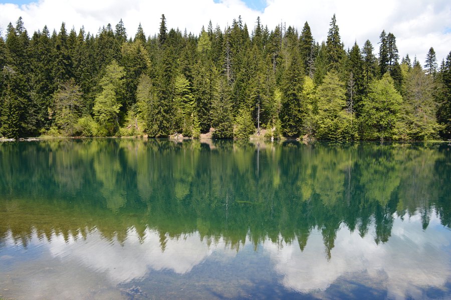 Zabojsko Lake image
