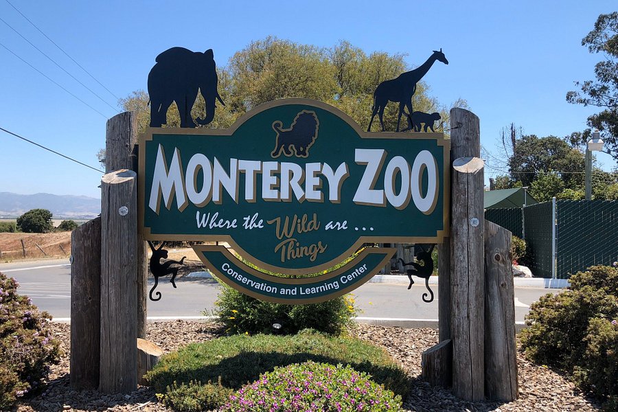 Monterey Zoo image