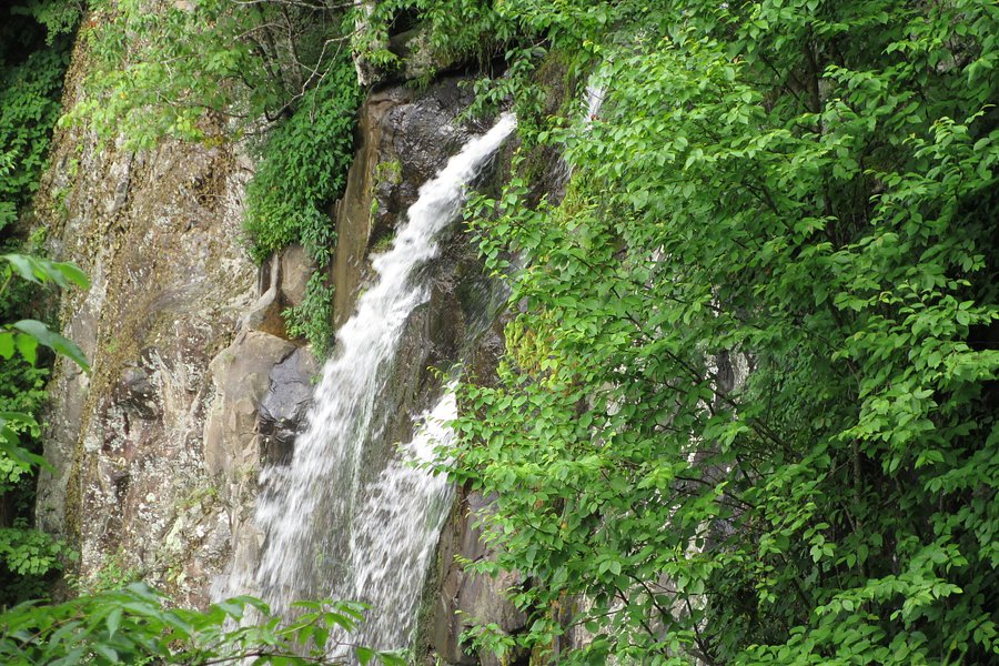 Lewis Falls Trail image