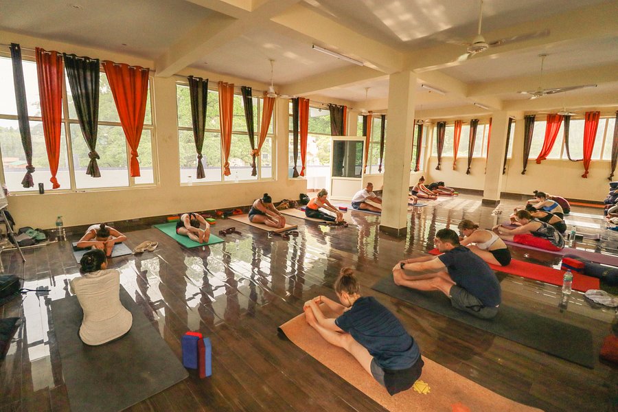 Rishikesh Vinyasa Yoga School image