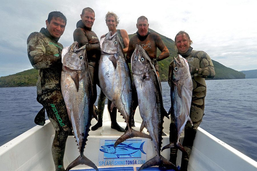 Spearfishing Tonga Charters image
