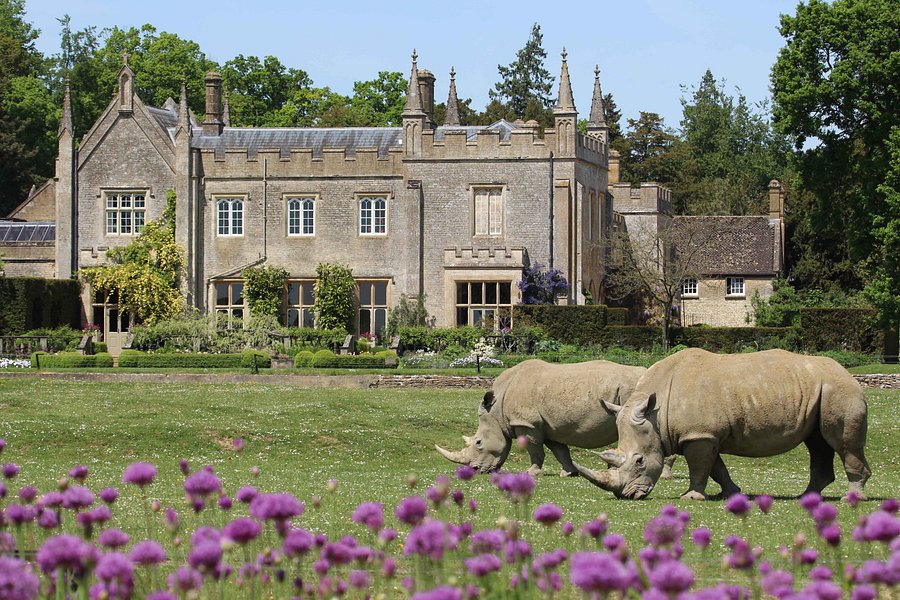 Cotswold Wildlife Park and Gardens image