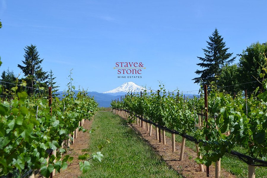 Stave & Stone Winery at the Vineyard image