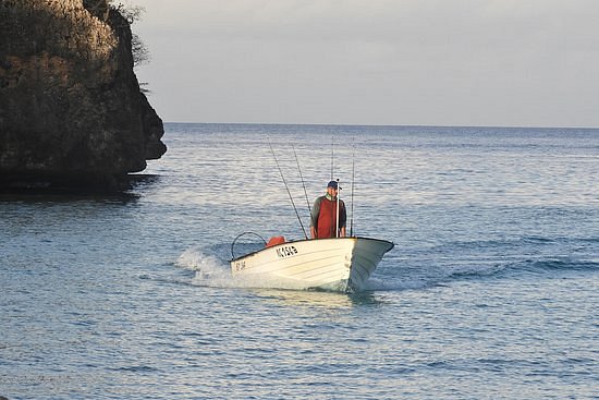 Curacao Fishing image
