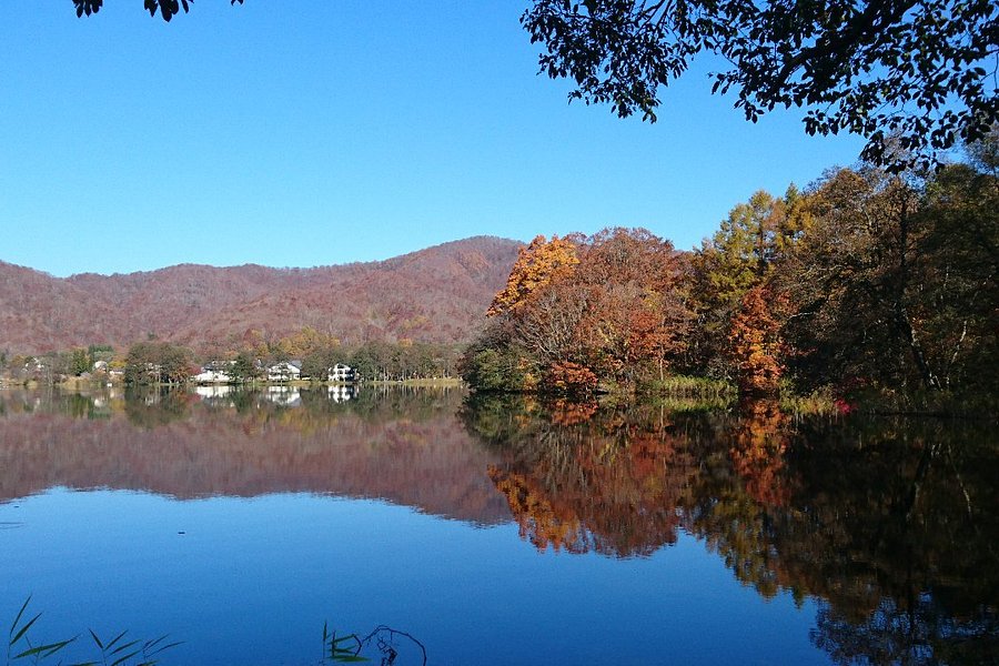 Lake Hibara image