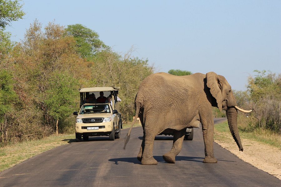 Vomba Tours & Safaris image