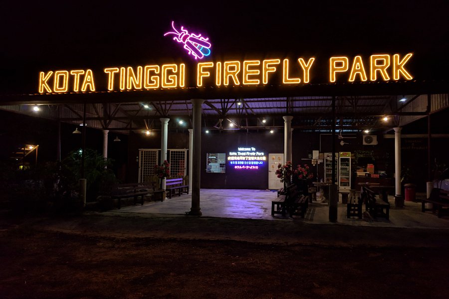 Kota Tinggi Firefly Park image