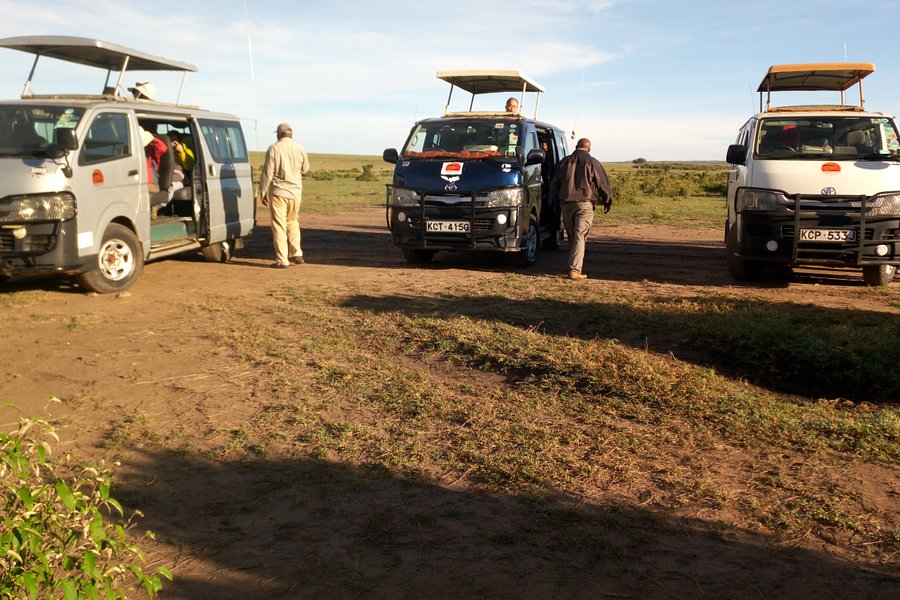 Seremara Safaris image