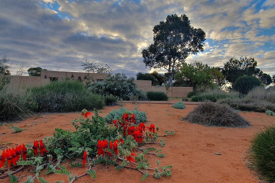 Australian Arid Lands Botanic Garden image
