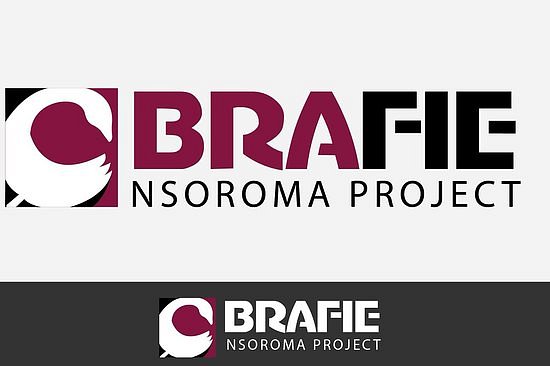 Brafie Nsoroma Projects image
