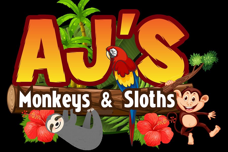 AJ's Monkeys and Sloths image