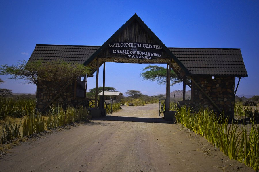 Olduvai Gorge image