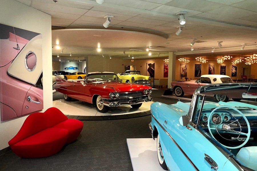 Newport Car Museum image