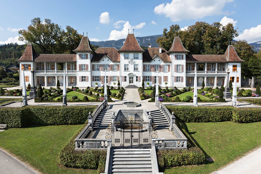 Schloss Waldegg image