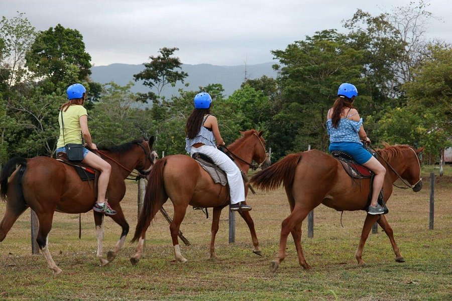 Horseback riding Rio Celeste image