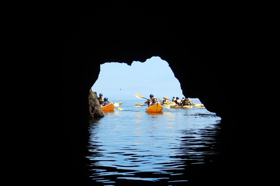 Channel Islands Expeditions - Oxnard image